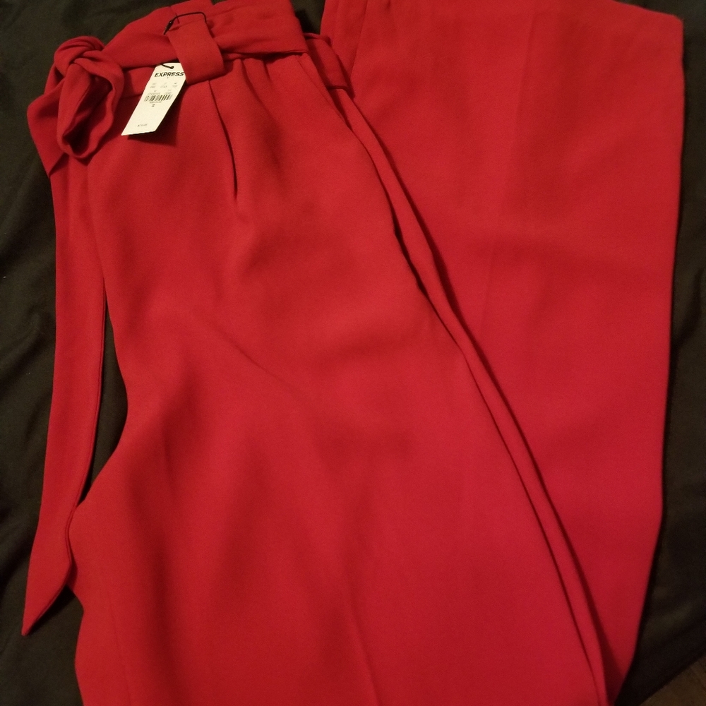 NWT Express Wide Leg Pants